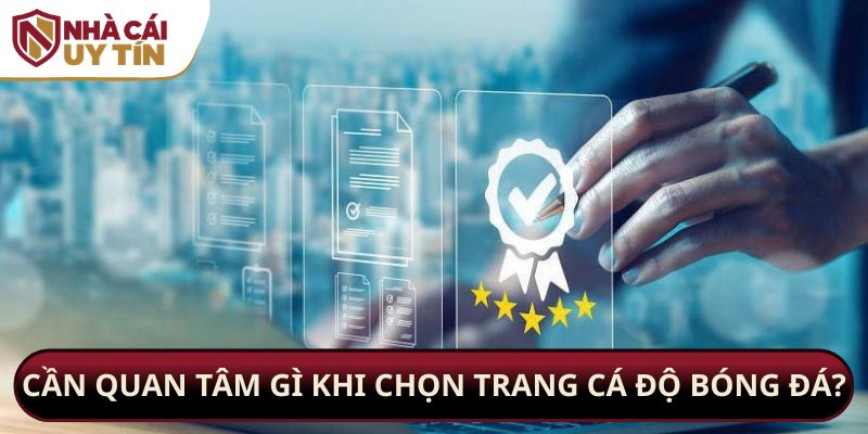 Cần quan tâm gì khi chọn trang cá độ bóng đá?